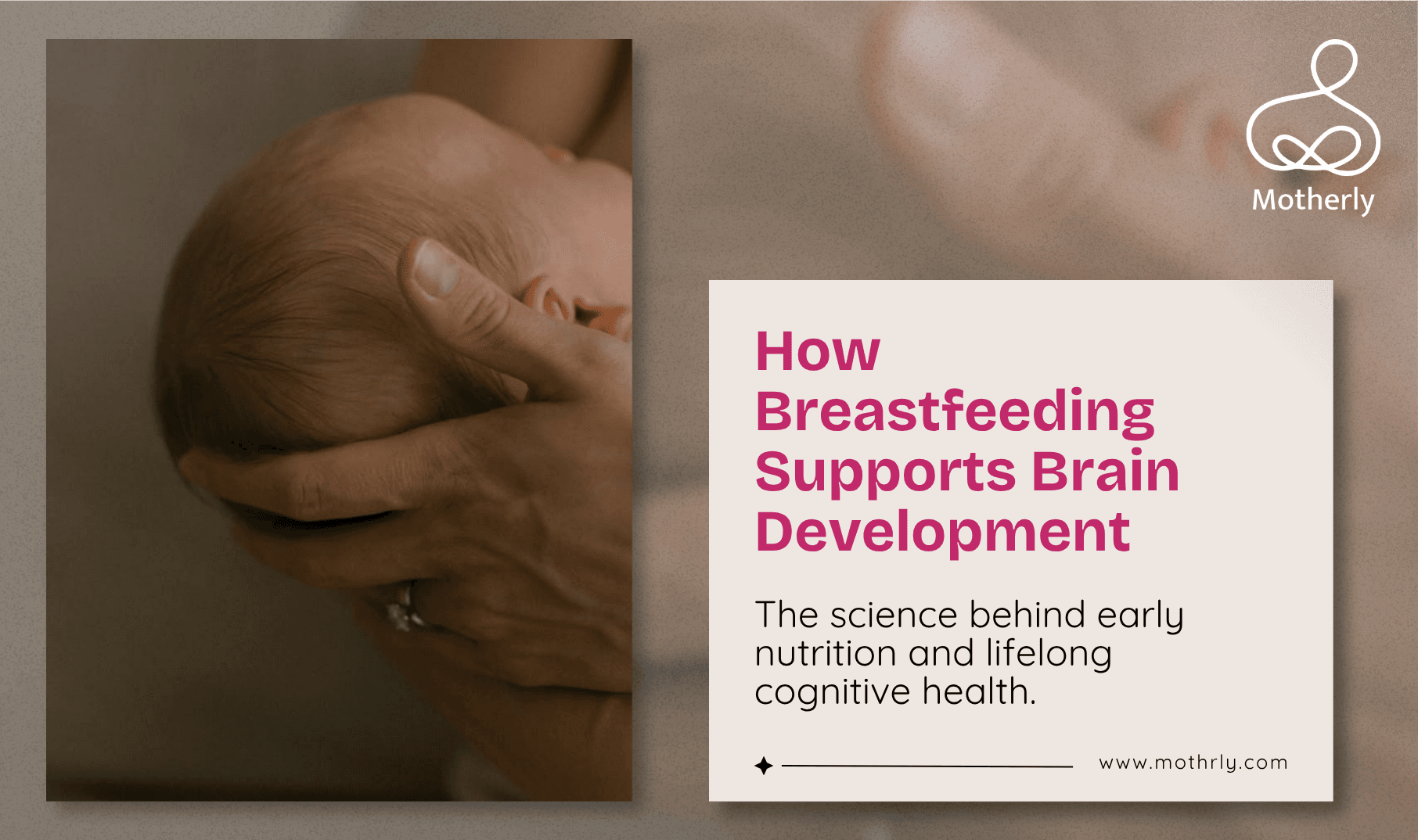 Breastfeeding for Six Months Adds Measurable Points to Your Child’s IQ. Here Is the Science Behind the Most Important Nutritional Gift You Can Give.