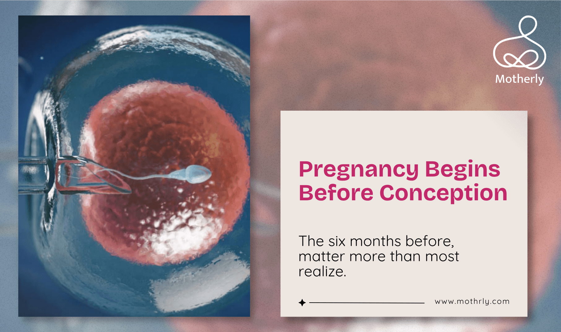 Your Body Needs Six Months of Preparation Before Conception. Most Women Start After the Positive Test. Here Is Why That Matters