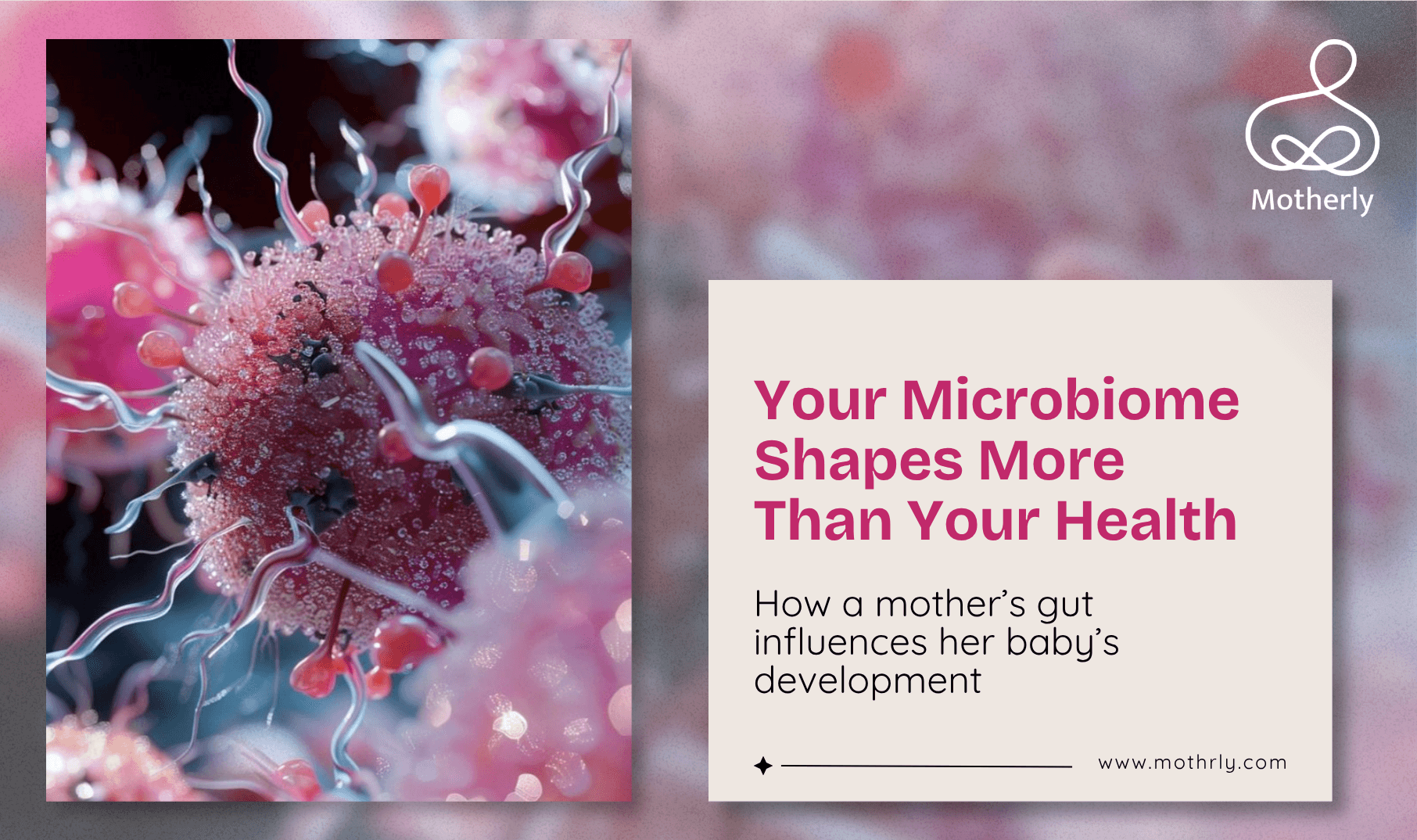 The Mother's Gut Microbiome Shapes the Baby's Health for Decades. What Every Mother Needs to Know About the Ecosystem Inside Her.
